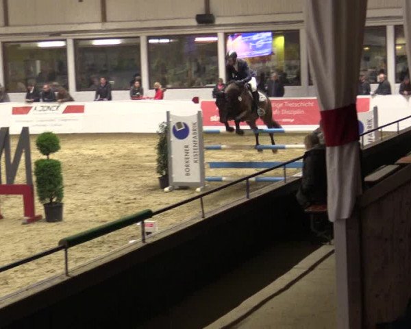 Reitturnier Borken 2019