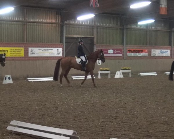 Reitturnier Lembeck 2019