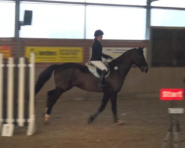 Reitturnier Lembeck 2019