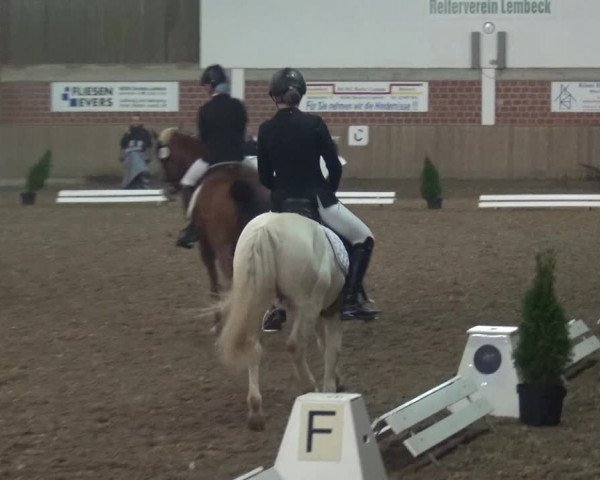 Reitturnier Lembeck 2019