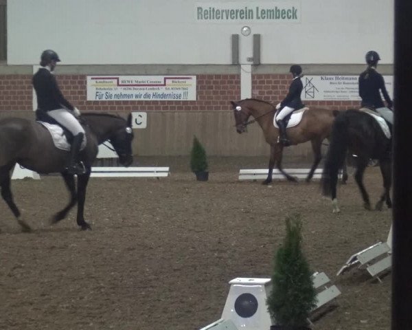 Reitturnier Lembeck 2019