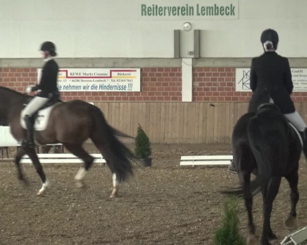 Reitturnier Lembeck 2019