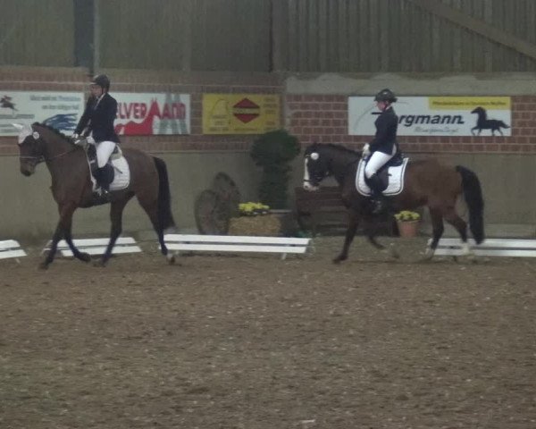 Reitturnier Lembeck 2019
