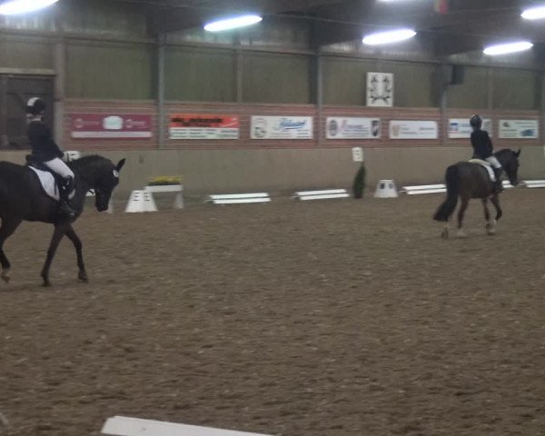 Reitturnier Lembeck 2019
