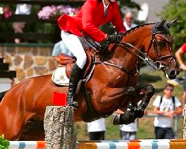 jumper Atilja (KWPN (Royal Dutch Sporthorse), 2005, from Guidam)