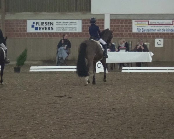 Reitturnier Lembeck 2019
