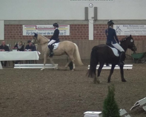 Reitturnier Lembeck 2019