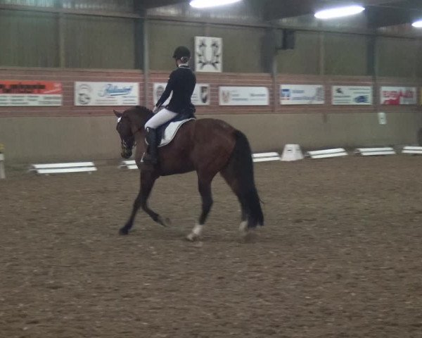 Reitturnier Lembeck 2019