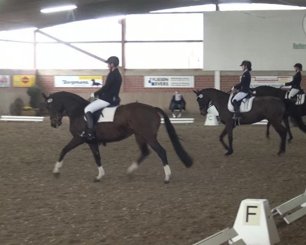 Reitturnier Lembeck 2019