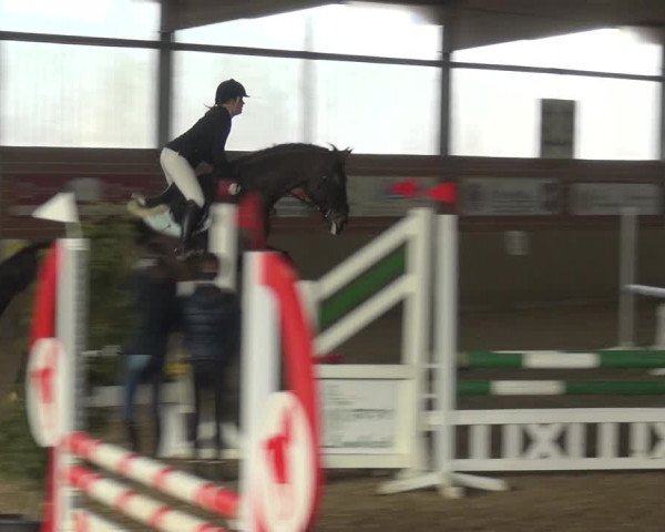 Reitturnier Lembeck 2019