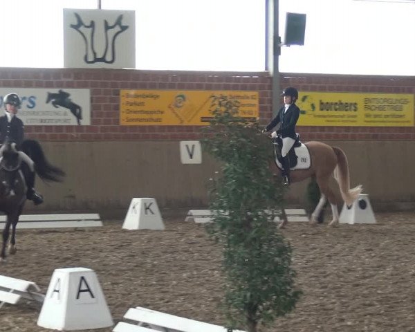 Reitturnier Lembeck 2019