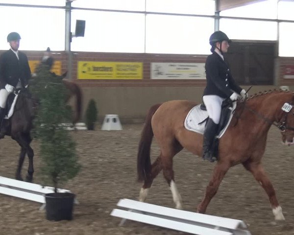 Reitturnier Lembeck 2019