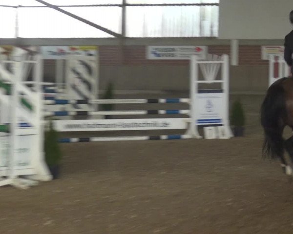 Reitturnier Lembeck 2019