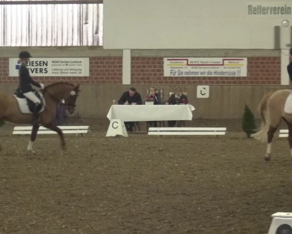 Reitturnier Lembeck 2019