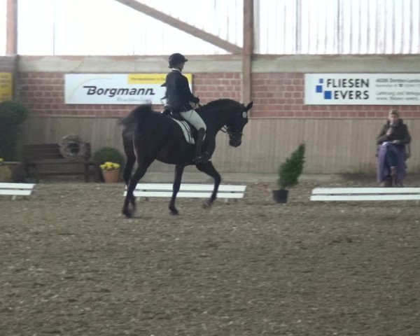 Reitturnier Lembeck 2019