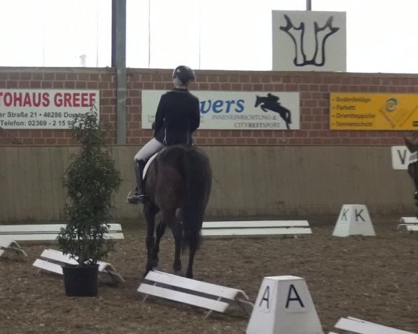 Reitturnier Lembeck 2019