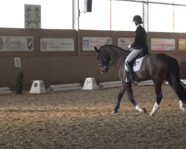 Reitturnier Lembeck 2019