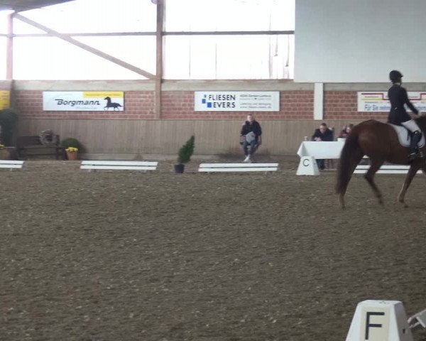 Reitturnier Lembeck 2019