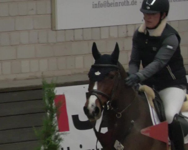 Reitturnier Heilbronn 2021