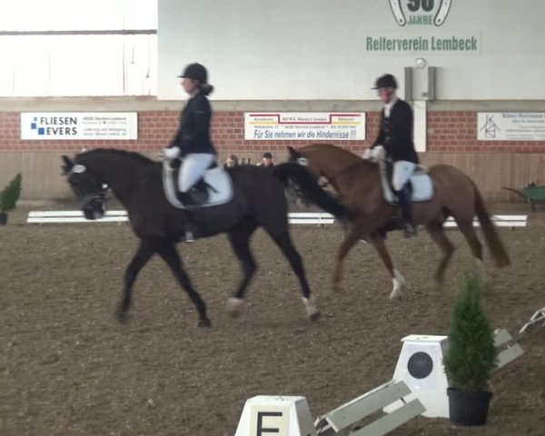 Reitturnier Lembeck 2019