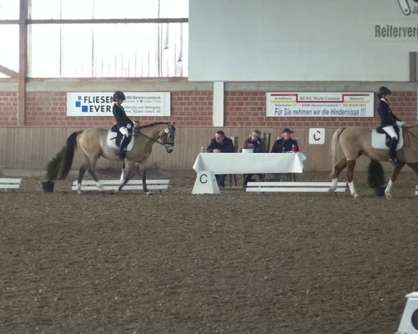 Reitturnier Lembeck 2019