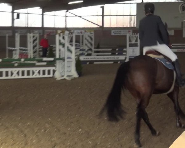 Reitturnier Lembeck 2019