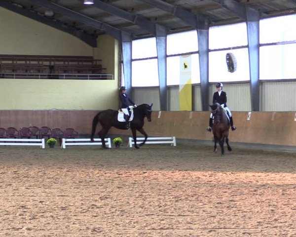 Reitturnier Frechen-Grefrath - Sonnenhof 2021