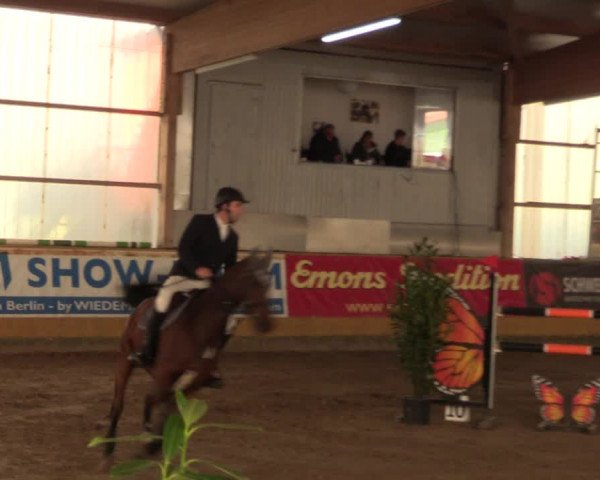 Große Jumping-Trophy Pausin 2021