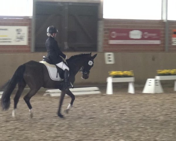Reitturnier Lembeck 2019