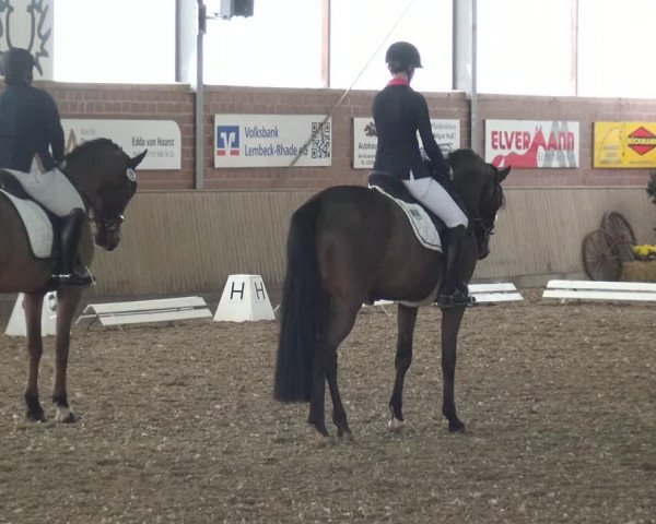 Reitturnier Lembeck 2019