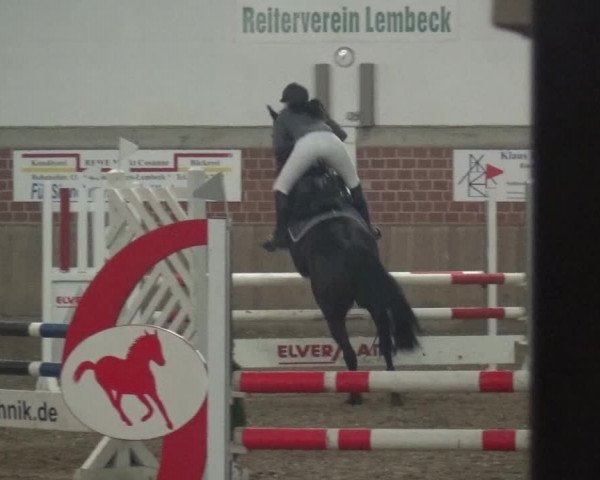 Reitturnier Lembeck 2019