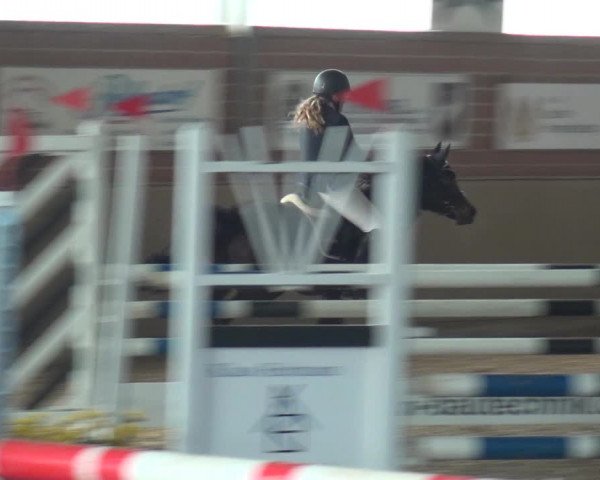 Reitturnier Lembeck 2019