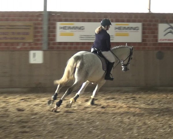 Reitturnier Lembeck 2019