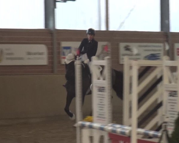 Reitturnier Lembeck 2019