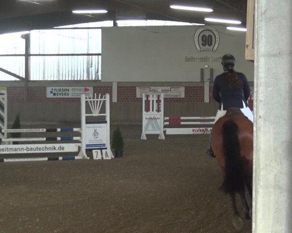 Reitturnier Lembeck 2019