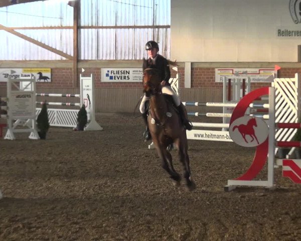 Reitturnier Lembeck 2019