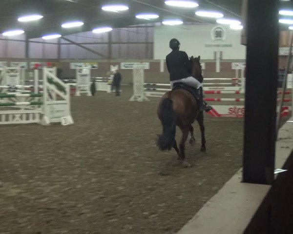 Reitturnier Lembeck 2019