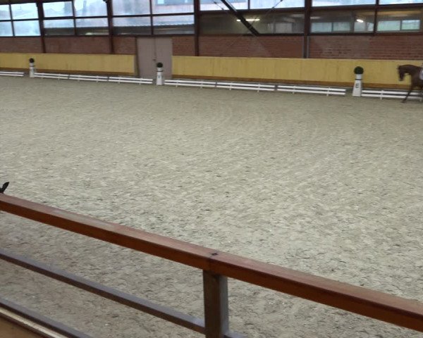 Reitturnier Hamburg-Friedrichshulde/Sylva Kuhrt 2021