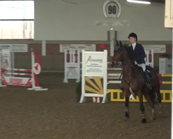 Reitturnier Lembeck 2019