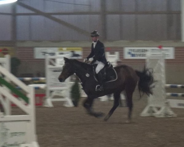 Reitturnier Lembeck 2019