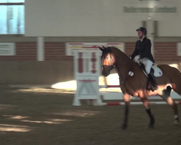 Reitturnier Lembeck 2019