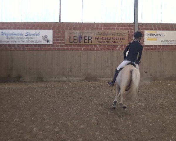 Reitturnier Lembeck 2019
