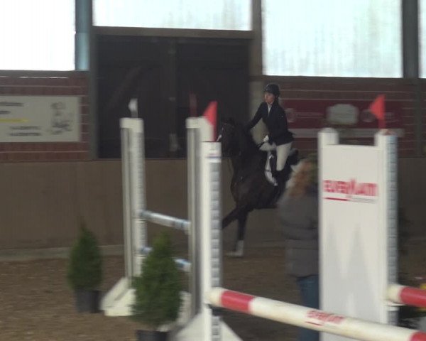 Reitturnier Lembeck 2019