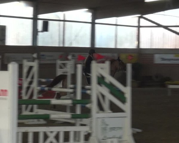 Reitturnier Lembeck 2019