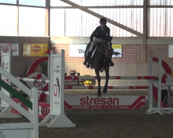 Reitturnier Lembeck 2019