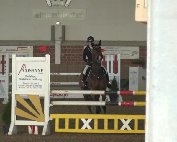Reitturnier Lembeck 2019