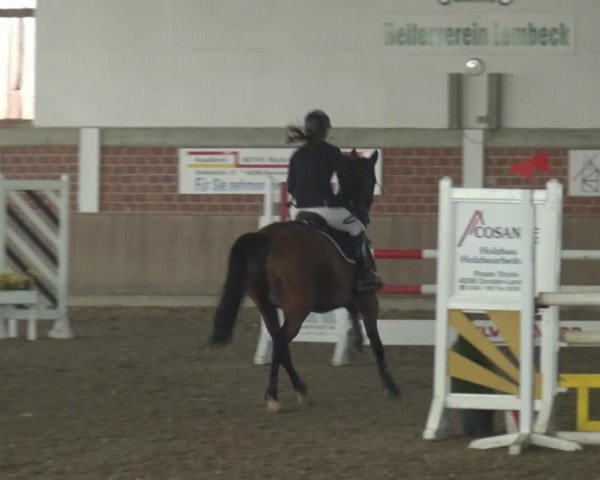 Reitturnier Lembeck 2019