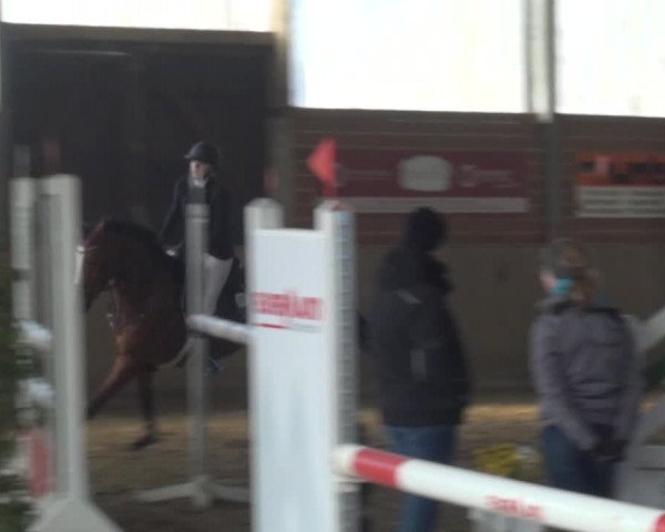 Reitturnier Lembeck 2019