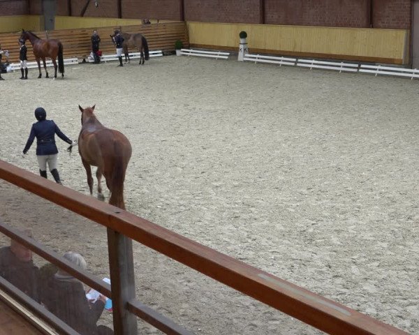 Reitturnier Hamburg-Friedrichshulde/Sylva Kuhrt 2021