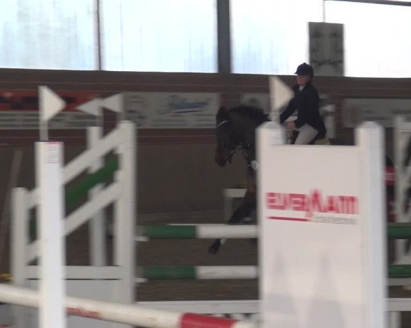 Reitturnier Lembeck 2019